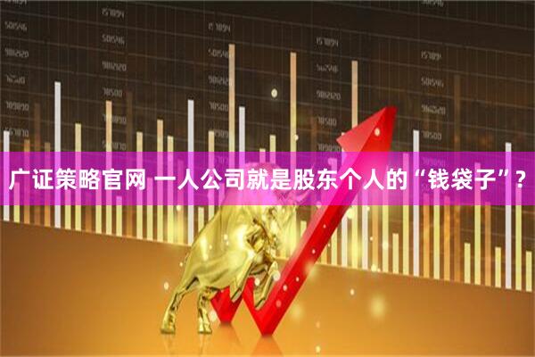 广证策略官网 一人公司就是股东个人的“钱袋子”?