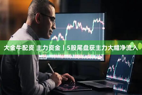 大金牛配资 主力资金丨5股尾盘获主力大幅净流入